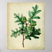Oak Leaves no.5 Farmhouse Wall Decor Poster (Voorkant)