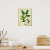 Oak Leaves no.6 Farmhouse Living Room Art Poster (Keuken)