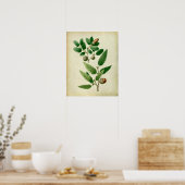Oak Leaves no.7 Farmhouse Wall Decor Poster (Keuken)