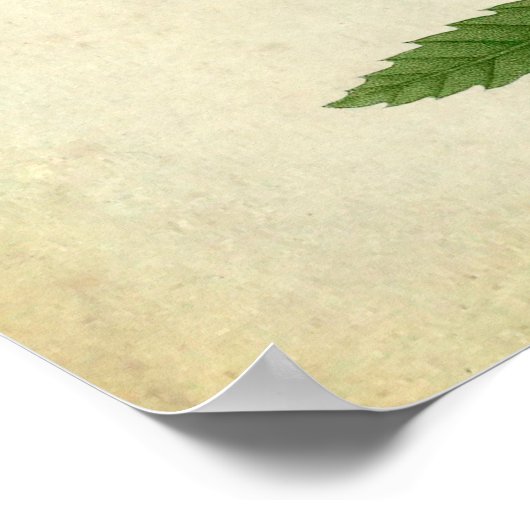 Oak Leaves no.7 Farmhouse Wall Decor Poster (Hoek)