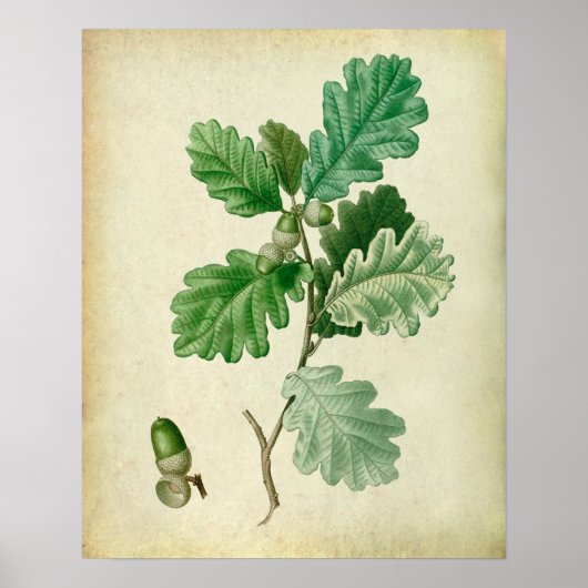 Oak Leaves Wall Art nr. 2 Farmhouse Decor Poster (Voorkant)