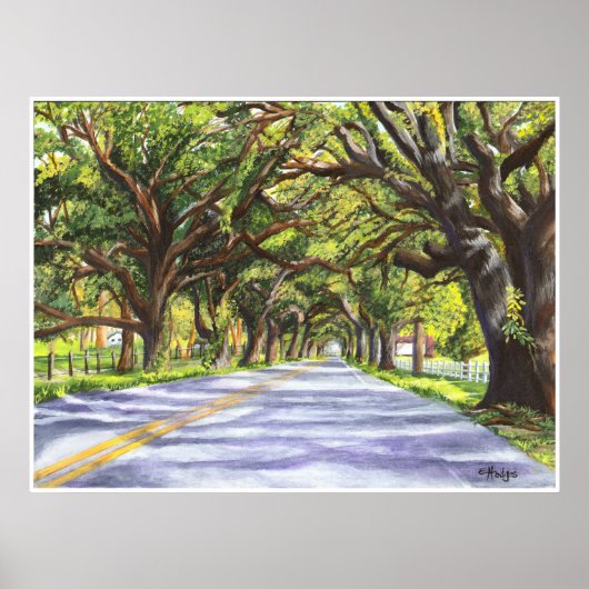 Oak Lined Road Poster (Voorkant)