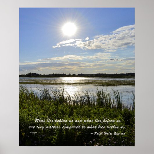 Oak Orchard Swamp Poster (Voorkant)