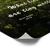 Oak Orchard Swamp Poster (Hoek)