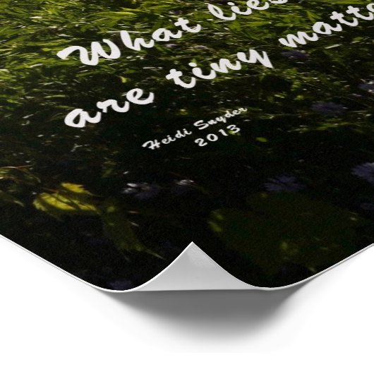 Oak Orchard Swamp Poster (Hoek)