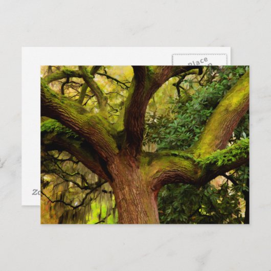 Oak tree briefkaart (Voorkant / Achterkant)