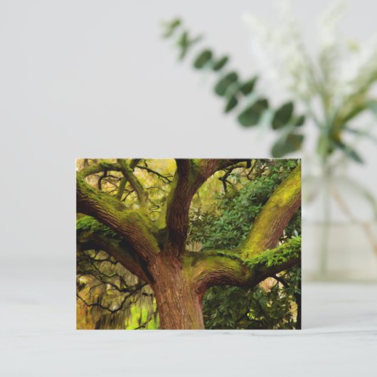 Oak tree briefkaart (Staand voorkant)