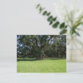 OAK TREE BRIEFKAART (Staand voorkant)