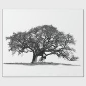 OAK TREE CADEAUPAPIER (Vlak)
