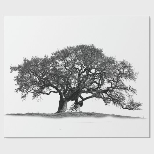 OAK TREE CADEAUPAPIER (Vlak)