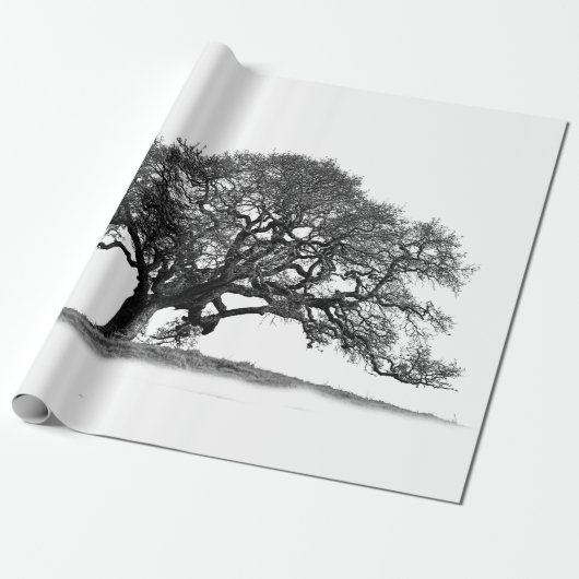 OAK TREE CADEAUPAPIER (Uitgerold)