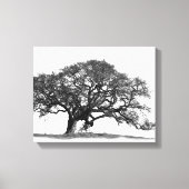 OAK TREE CANVAS AFDRUK (Voorkant)