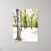 Oak Tree Forest Natuur Landschap Canvas Print (Voorkant)