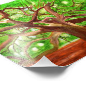 Oak Tree-foto Foto Afdruk (Hoek)