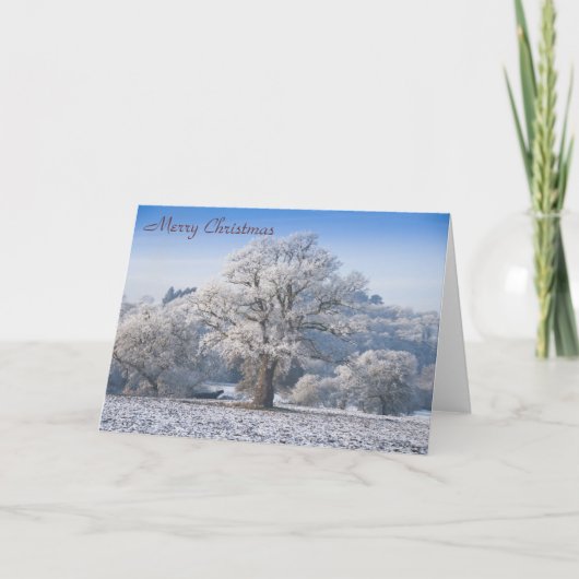 Oak Tree in Frost Christmas Kaart (Voorkant)