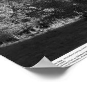 Oak Tree in the West Ridge, UC Santa Cruz, 1963 Poster (Hoek)