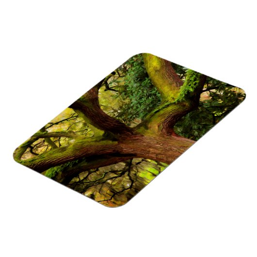 Oak tree magneet (Linkerzijde)
