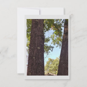 Oak Tree Note Kaart