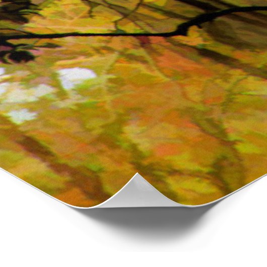 Oak tree poster (Hoek)