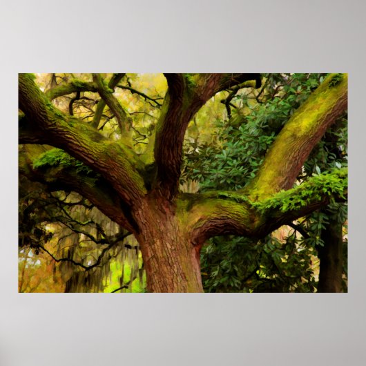 Oak tree poster (Voorkant)