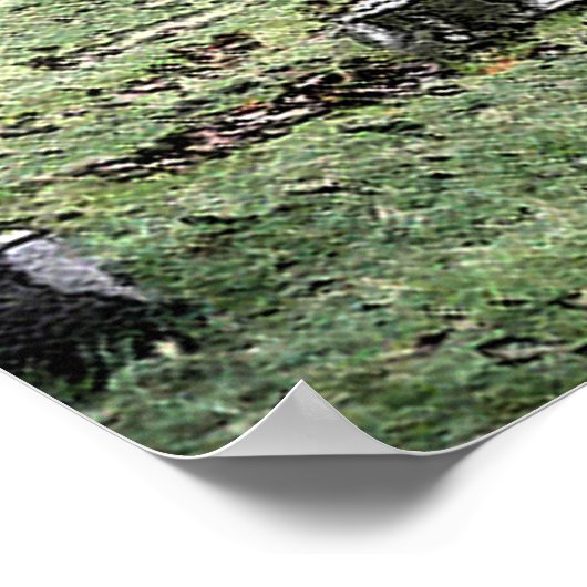 Oakdale Poster (Hoek)