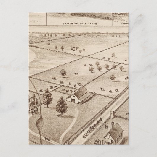 Oakdale Ranch Briefkaart (Voorkant)
