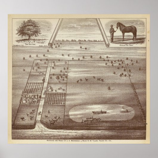 Oakdale Ranch Poster (Voorkant)