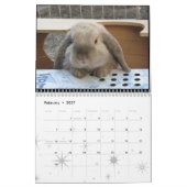Oakland Animal Services - 2010 Kalender (Feb 2027)
