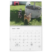 Oakland Animal Services - 2010 Kalender (Mar 2027)
