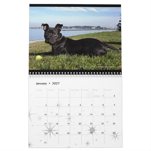 Oakland Animal Services - 2010 Kalender (Jan 2027)