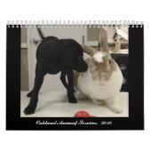 Oakland Animal Services - 2010 Kalender (Hoes)