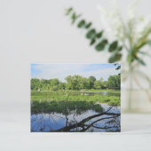 Oakland Metropark Swans Briefkaart (Staand voorkant)