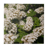 Oakleaf Hydrangea Ceramic Tile Tegeltje (Voorkant)