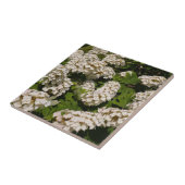 Oakleaf Hydrangea Ceramic Tile Tegeltje (Zijkant)