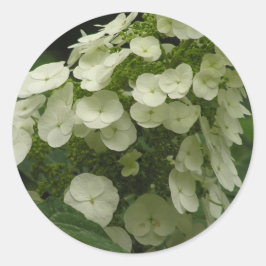 Oakleaf Hydrangea (Hydrangea quercifolia) stickers