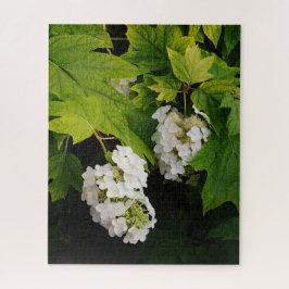 Oakleaf Hydrangea Legpuzzel