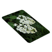 Oakleaf Hydrangea Magneet (Rechterzijde)