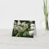 Oakleaf Hydrangea Notitiekaartje (Voorkant)
