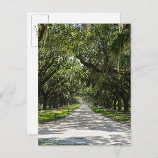 Oaks Briefkaart (Voorkant / Achterkant)