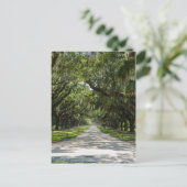 Oaks Briefkaart (Staand voorkant)