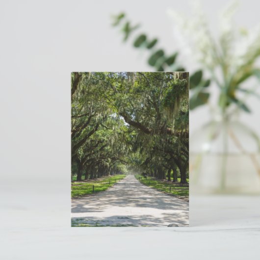 Oaks Briefkaart (Staand voorkant)