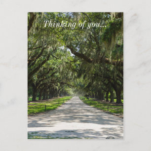 Oaks Briefkaart
