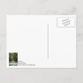 Oaks Briefkaart (Achterkant)