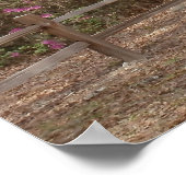 Oaks en Spaans Moss Poster (Hoek)