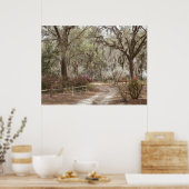 Oaks en Spaans Moss Poster (Keuken)