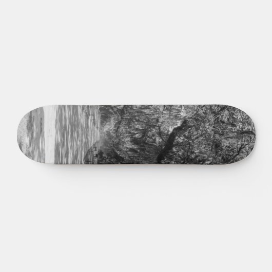 Oaks Grayscale Skateboard (Horizontaal)