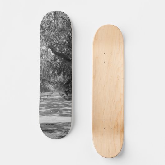 Oaks Grayscale Skateboard (Voorkant)