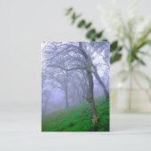 Oaks in de lijst briefkaart (Staand voorkant)