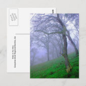 Oaks in de lijst briefkaart (Voorkant / Achterkant)