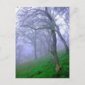 Oaks in de lijst briefkaart (Voorkant)